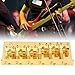 Zinc Alloy 6 String Electric Bass Bridge, Heavy Duty Cast Base Assembly, Sturdy Structure, Cr Plated Appearance,Bass Accessory, for Bass Instrument (Golden)