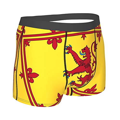 national emblem of Palestine Mens Boxer Briefs Underwear Breathable Stretch Boxer Trunk with Pouch for Men, Youth3