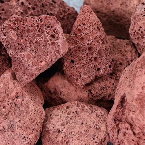 KOCKSHION 500g oCItB^[fBA n tB^[Xg[  bNK[fp ړI߂ё