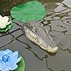 MONT PLEASANT Floating Alligator Head Decoy, Pond Accessories Alligator Pool Float, Fake Gator Head, Duck Deterrents for Pool and Pond, Outdoor Pool Decor Crocodile Head for Decorations