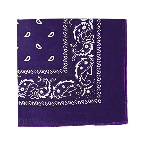 Motique Accessories 22 Inch Cotton Paisley Bandana - Purple