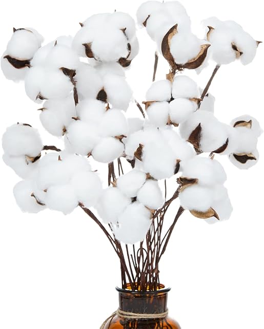 Ruiuzioong Natural Dried Cotton Stem Farmhouse Artificial Flower Filler Floral Arrangement DIY Home Party Decor (20pcs pack)