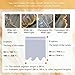 Sheer Curtains, Ceiling Light Strip, Easy to Install, Universal for All Seasons, for Birthdays, Parties, Weddings 100mx0.6m-ChampagneVeil+WhiteLight