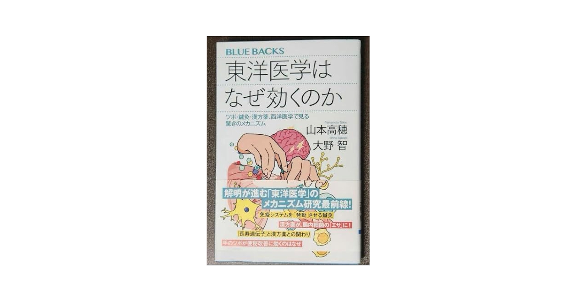 東洋医学の治す力 鍼が効く生薬が効く 7158e0hpLvL._UF350,350_QL80_.jpg