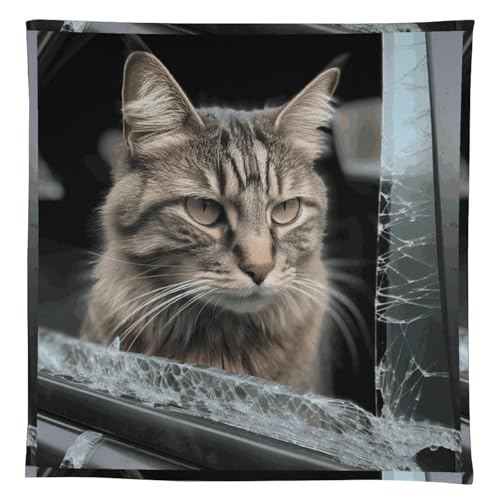 Nappe imprimée chat pour décoration de cuisine et restaurant - 2