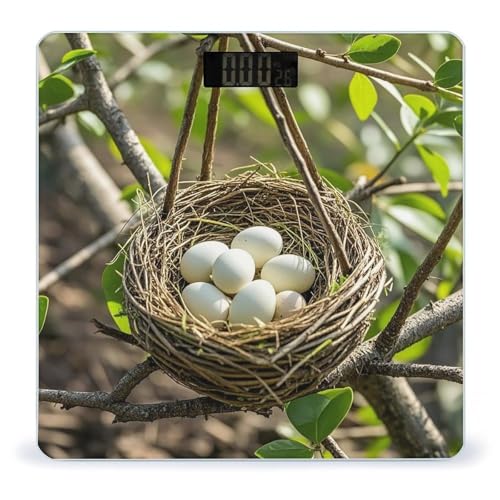 Báscula de baño digital Magical Bird Nest de vidrio templado