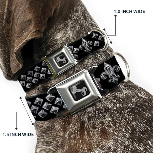 Collier de chien Buckle Down robuste anti-traction réglable 15 à 66 cm - 3