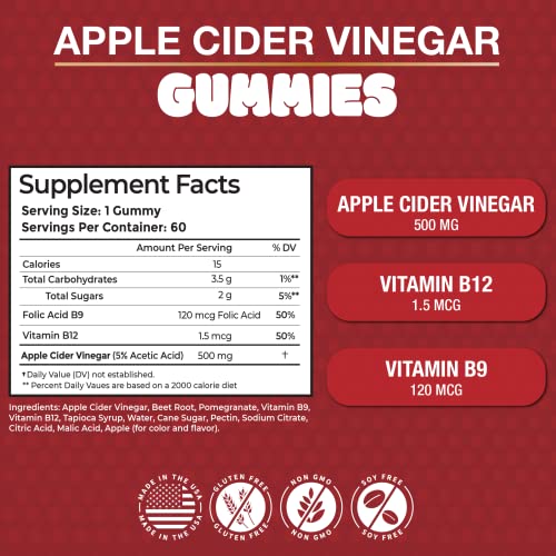 New Age Apple Cider Vinegar Gummies 2-Pack - 120 Count - Immunity & Detox - With The Mother, Gluten-Free, Vegan, Vitamin B9, B12, Pomegrantate, Beetroot (2 Pack 120 Count) #TOP1