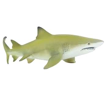 サメ オ―シャンワールド シュモクザメLMC /Ocean World LMC