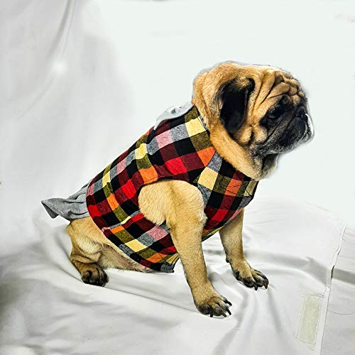 See full amazon price history chart for Kitty & The Woof Gang Stylish Cotton Bow shirt for dog, cat| summer dog shirt | shirt for small, medium, large dog | Pet apparel | Dog shirt | Dog party wedding birthday festive costume 2XL-22 inch Kitty & The Woof Gang Stylish Cotton Bow shirt for dog, cat| summer dog shirt | shirt for small, medium, large dog | Pet apparel | Dog shirt | Dog party wedding birthday festive costume 2XL-22 inch (B08Y8K256L) Amazon Price History, Amazon Price Tracker