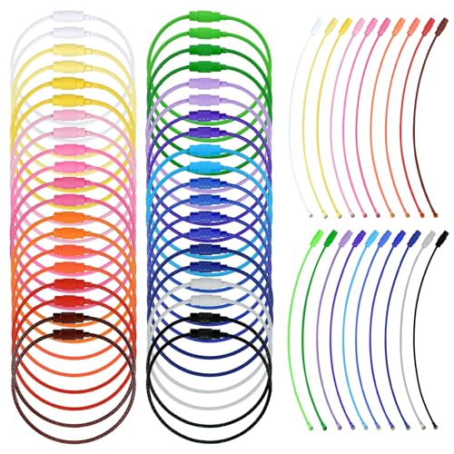 Binxus 60 Pcs Metal Wire Keychains, 6 Inches Colored Nylon Coated Stainless Steel Metal Wire Keychains with Cable Keyrings (Stainless Steel)