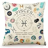 Pisces Zodiac Pillow Cover 18x18, Mystical Astrology Throw Pillow Case for Women, Birthday Gifts for Pisces Women & Girls, Fish Constellation Home Decor