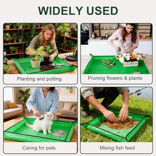 image for bukmialy 26.8