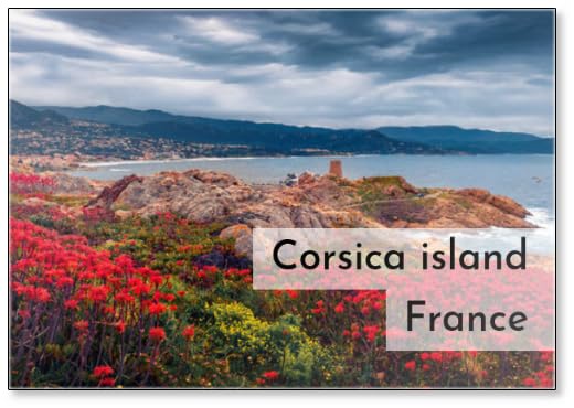 Blooming Red Flowers on De La Pietra Cape with Genoise De La Pietra A L'ile-rousse on Panoramic Summer View of Corsica Island, France, Europe. Traveling .., Fridge Magnet