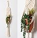 Bornbridge Macrame Plant Hanger - Artificial Succulents in Hanging Planter - Artificial Succulent Plants - Indoor Hanging Plants - Macrame Plant Holder - Hanging Succulent Planters (2 Pack, Aria)