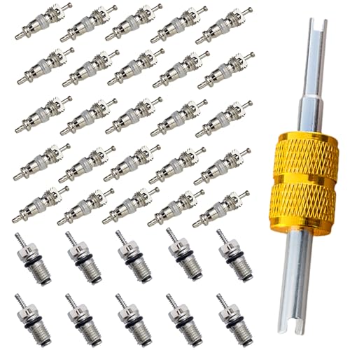 Shipenophy Bouchons De Noyau De Valve De Climatisation 170pcs Kit