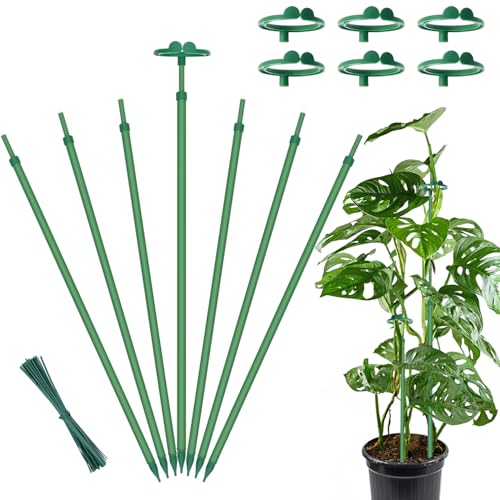 GAGINANG Extendable Plant Stakes