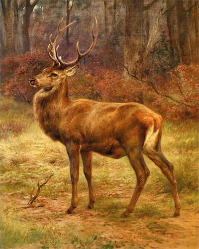 Peinture Poster Impression pour salon moderne : Cerf d'automne 60x90