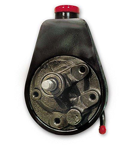 P300 Canister Style Power Steering Pump