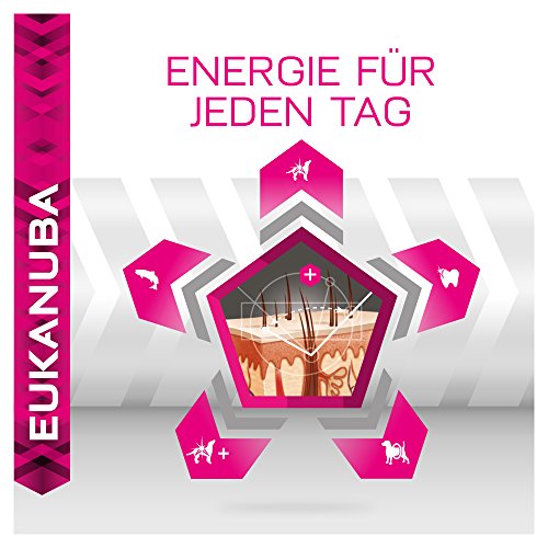 Eukanuba Daily Care, Hundefutter für Hunde mit sensibler Haut, Trockenfutter mit Fisch und Huhn (1 x 2,3 kg)