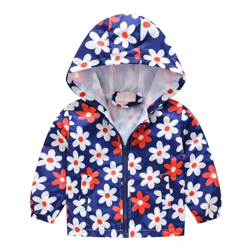 Toddler Boys Cartoon Hoodie Windbreaker Jacket Zip Up Long Sleeve Fall Casual Coat Kids Girls Lightweight Cute Outwear