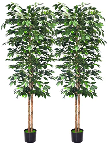 Aphighjoy 6Ft Artificial Ficus Trees with Silk Leaves Fake Moss and Sturdy Nursery Pot, Fake Plants for Office Home Decor (6Ft -2Packs)