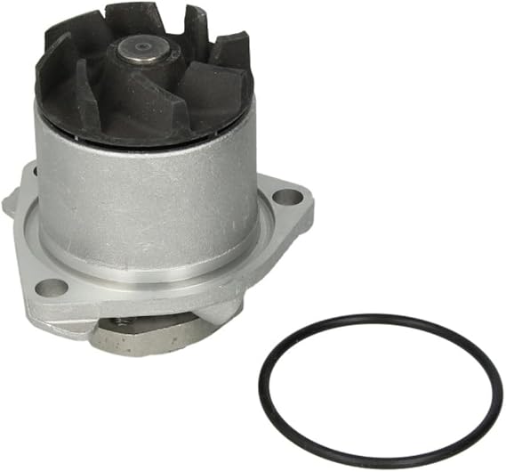 Hepu P524 Engine Water Pump