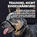 Canny Collar Hundehalfter – Anti-Zug Kopfgeschirr für Hunde | Stoppt Ziehen an der Leine sanft & effektiv | Trainingshilfe für entspannte Spaziergänge – Größe 4, Schwarz