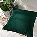 MERNETTE New Year/Christmas Decorations Velvet Soft Decorative Square Throw Pillow Cover Cushion Covers Pillowcase, Home Decor for Party/Xmas 18x18 Inch/45x45 cm, Dark Green, Set of 2