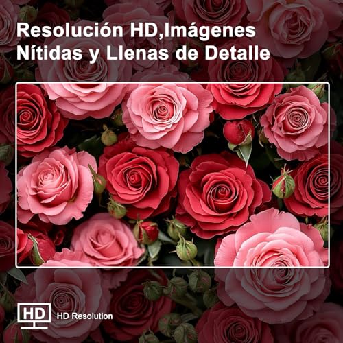 Opiniones y reviews de pantalla 19 pulgadas más recomendados. 14 Imagen adicional