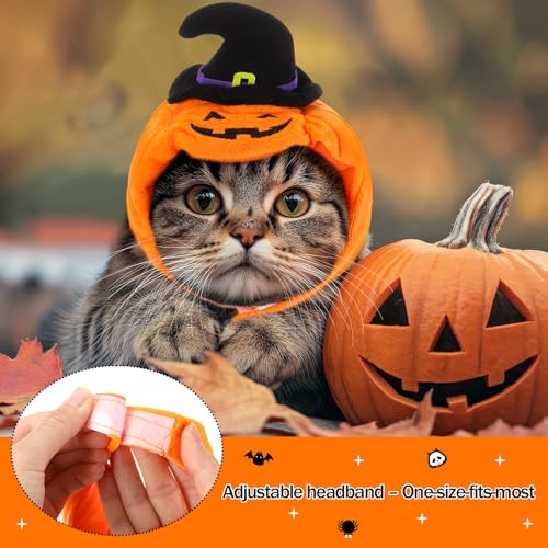 Disfraz para perro y gato Halloween con sombreros calabaza x6 miniatura 5