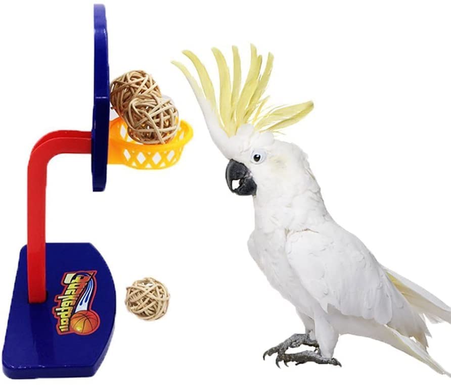 Sage Square Basketball Bird Toy, Training, Educational, Intellective Mini Basketball Rack for Budgies Parakeet Parrot Cockatiels Conures Small and Medium Birds. (B09W2KX1HD) Amazon Price History, Amazon Price Tracker