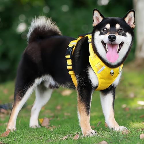 Arnés para pasear perros ajustable que evita tirones en cachorros 4