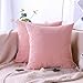 Produktbild Artscope 2er-Set Dekorativ Kissenbezüge 45 x 45 cm Weicher Kordsamt Kissenbezug Reine Farbe Großer Mais Kissenhülle Set Kissen Fall für Sofa Auto Schlafzimmer Zuhause Zierkissenbezüge (Rosa)