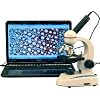 AmScope M149C-E Digital Compound Monocular Microscope, WF10x and WF25x Eyepieces, 40x-1000x Magnification, LED Illumination, Brightfield, Single-Lens Condenser, Plain Stage, 110V or Battery-Powered, Heavy-Duty Metal Frame, Includes 0.3MP Camera and Software