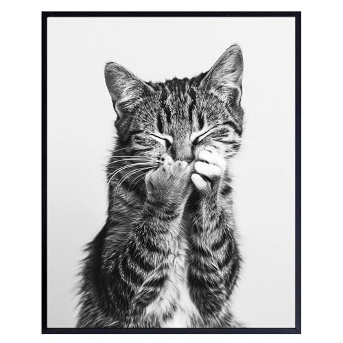 funny Cat Bathroom Prints - funny Bathroom Pictures, Cat Room Decor - Bath Decorations, Cat Home Decor, Cat Pictures Wall Decor, Black and White Bathroom Poster, Cat Art, Bathroom Accessories 8x10
