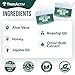 TreeActiv Acne Scar Treatment, 2 fl oz, Acne Scar Cream for Face, Gentle Acne Scars and Dark Spot Remover, Scar Lotion for Stretch Marks and Body Scars, Acne Scar Removal for All Skin Types, 500+ Uses