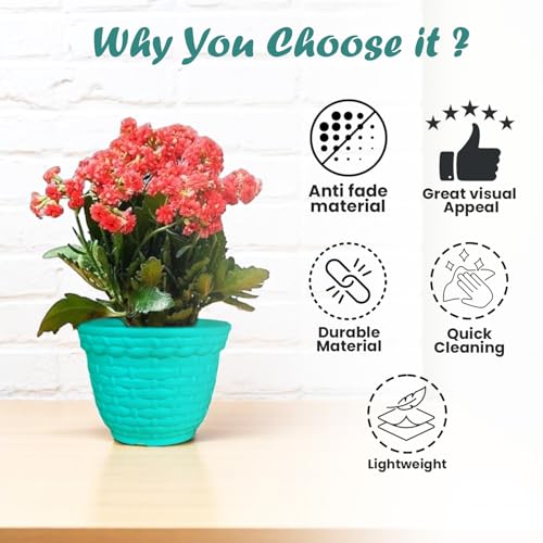 Image of Go Hooked Plastic Planter Pots Set of 2 | Multicolor Flower Pots Perfect for Home, Office & Garden Decor | Amaze Small Pot 8 Inch for Indoor & Outdoor Plants | Durable, Lightweight & Modern Design