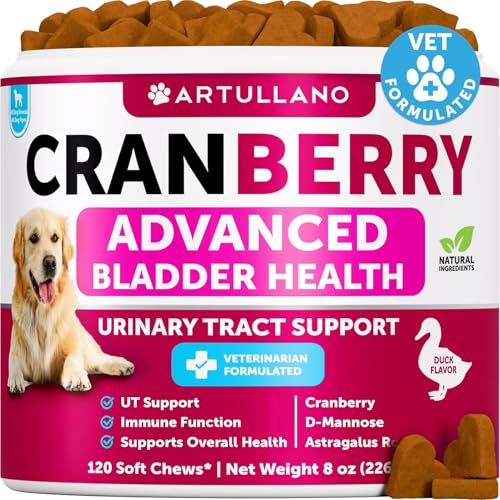 Dog UT Treats - Cranberry Chews for Dogs - Urinary Tract & Bladder Support Supplement with Natural Cranberry Extract - Tasty 120 Soft Bites for Daily Wellness with Fish Oil Pumpkin D-Mannose