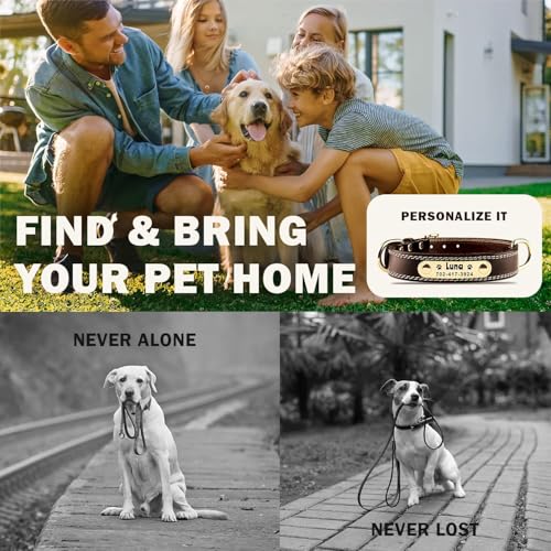 Personalisiertes Hundehalsband - Individuelles Hundehalsband aus Leder mit gravierbarem Namensschild. Robustes Namensschildhalsband, Bequeme ID-Halsbänder für kleine, mittelgroße und große Hunde