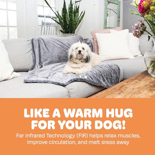 Couverture de luxe pour chien velours velboa Chilli Kuzzi peluche douce - 3