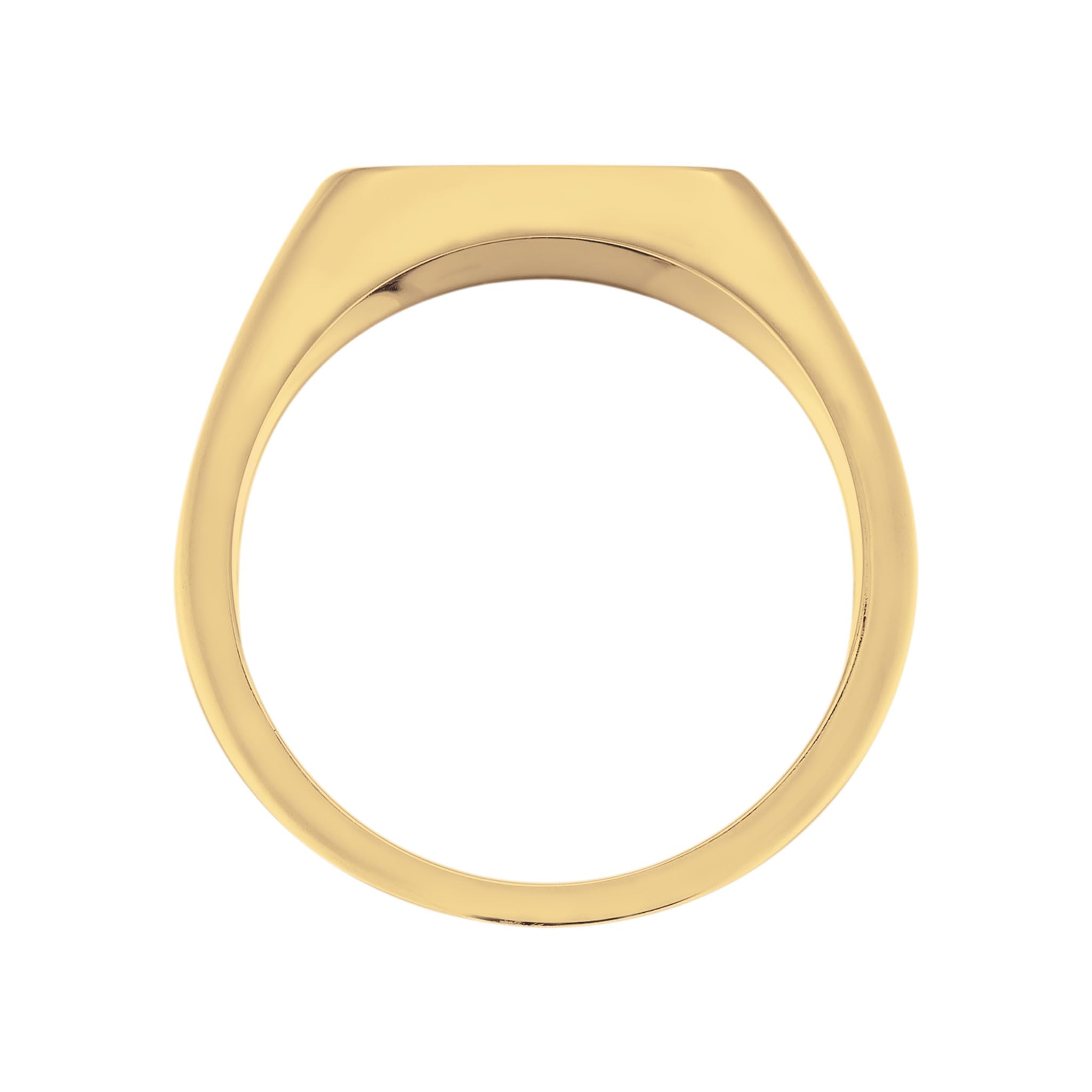 Kuzzoi Anello da uomo in argento con simbolo di cavalli, elegante anello sigillo in argento sterling 925, gioiello fatto a mano da uomo, misura 60-66, 0606782725