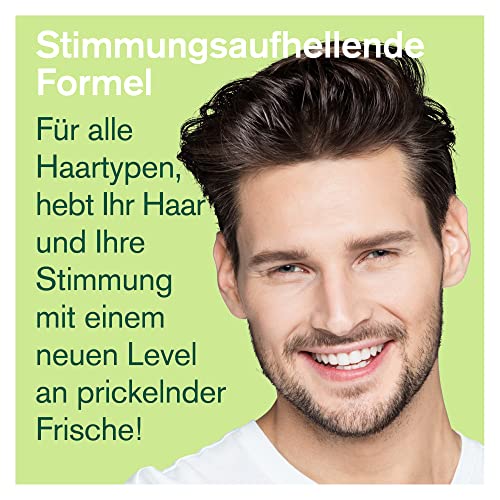Foto von Teebaumöl Shampoo - Haarshampoo, Feuchtigkeitsshampoo, Pflege-Formel für alle Haartypen - Vegan, ohne Tierversuche, PETA-anerkannt - Ohne Sulfate, Parabene - 237ml