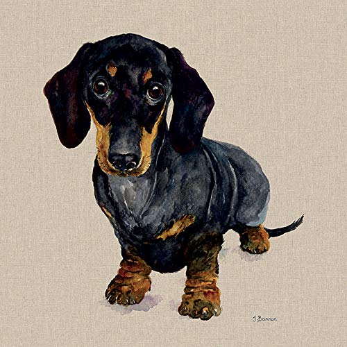 Jane Bannon Canvas, Multi-Colour, 0.96 x 60 x 3 cm