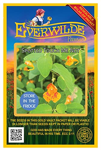 Everwilde Farms - 25 Spotted Touch-me-not Native Wildflower Seeds -