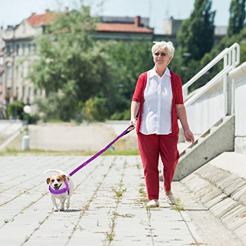 Lukovee Walking Dog Harness And Leash, Heavy Duty Adjustable Puppy Harness Soft Padded Reflective Vest Harness Anti-Twist 4Ft Pet Lead Quick Fit Lightweight For Small Dog Cat (Xx-Small, Purple) #TOP6