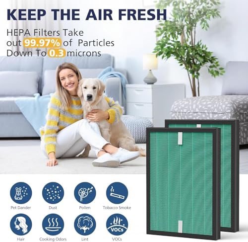 Image of TROO Air Purifier Filter Kit (HEPA & CARBON) Compatible with Coawy Air Purifier AriMega 150 (AP-1019C) (1 Hepa & 2 Carbon Filters) Long filter Life, Traps 99.99% Virus & PM 0.1 Particles