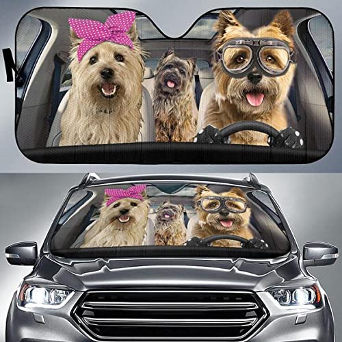 Pare-soleil avant intérieur voiture pour le confort en conduite familiale de terriers