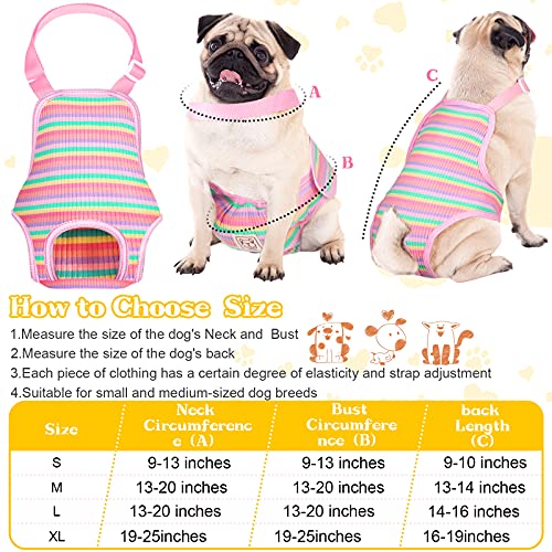 3 Pieces Dog Diaper Striped Sanitary Pantie With Adjustable Suspender Washable Reusable Puppy Sanitary Panties Cute Pet Underwear Diaper Jumpsuits For Female Dogs (Rainbow Pattern, M) #TOP2