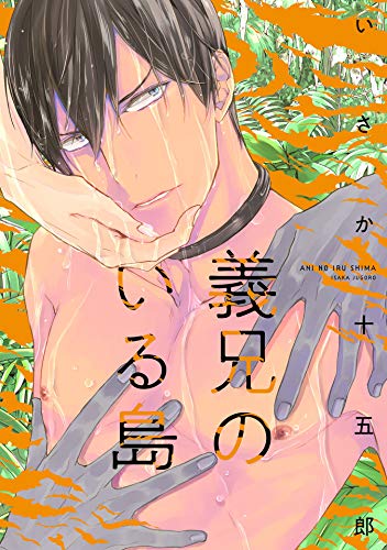 『義兄のいる島』